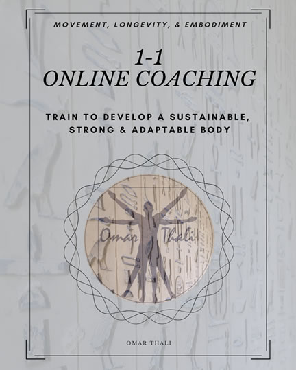 1-1 Online Coaching